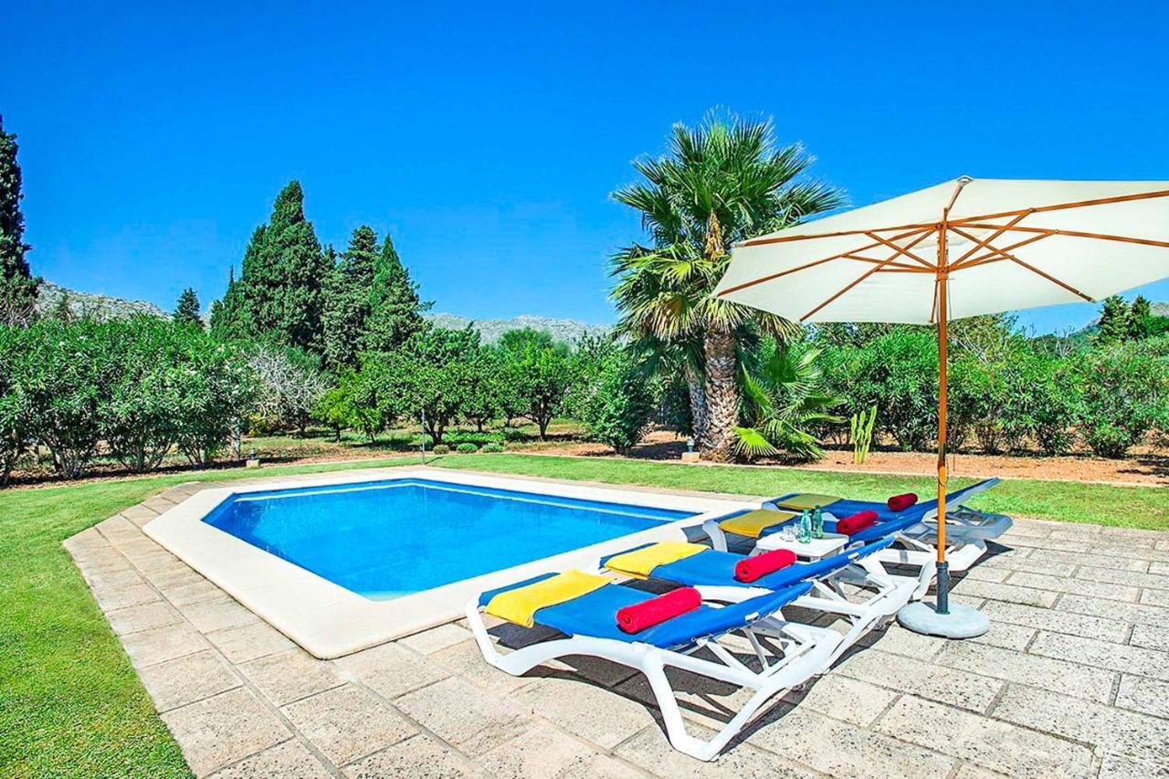 Boi Villa Pollença